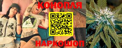 спиды Будённовск