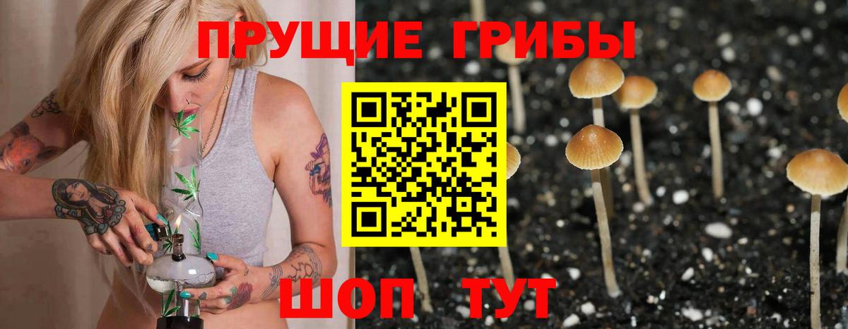 Псилоцибиновые грибы мицелий Сланцы